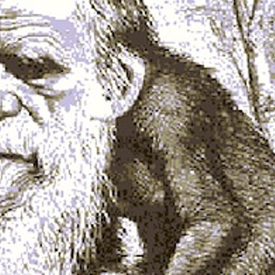 Timeline: Processo di ominazione