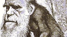 Timeline: Processo di ominazione