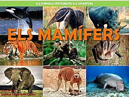 Aparició dels mamífers