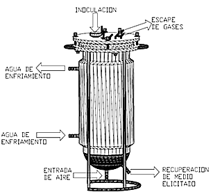 PRIMER USO DEL BIORREACTOR