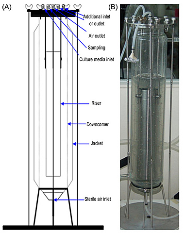 BIORREACTOR "AIR LIFT"