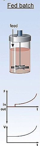 BIORREACTOR DE MESA FED-BATCH