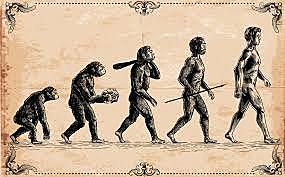 Primers humans en caminar