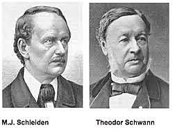 Theodor Schwann and Matthias Schleide