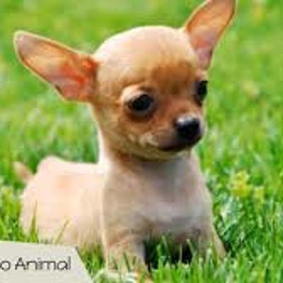 Timeline: Katherine Biografía