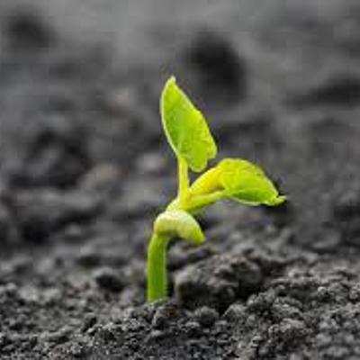 Timeline: Teorías sobre cómo se originó la primera célula