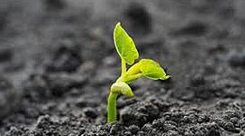 Timeline: Teorías sobre cómo se originó la primera célula