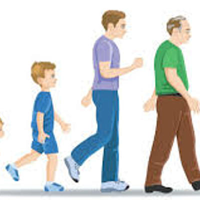 Timeline: Mi linea del tiempo