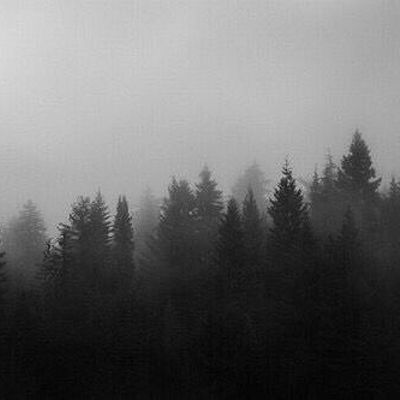 Timeline: Timeline with Attitude (E = economy) (S = social) (P = political)