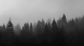 Timeline: Timeline with Attitude (E = economy) (S = social) (P = political)