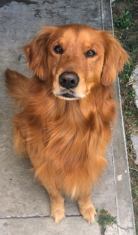 El regalo más preciado