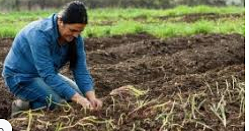 Europe is a farming economy