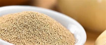 Biorreactores para la producción de levadura