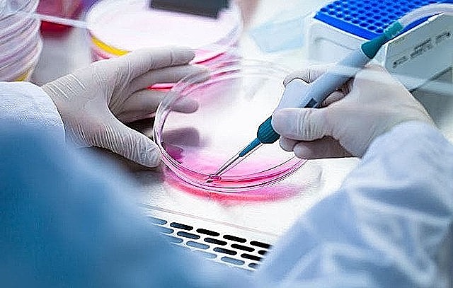 Biorreactor mejorado