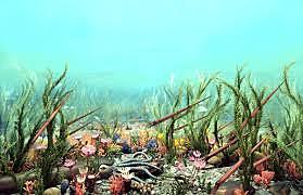 Ordoviitsiumi saladused VIDEO