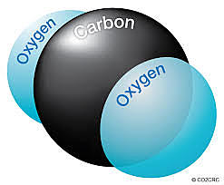 Establece cuál es la composición del Gas carbónico ( CO2 )
