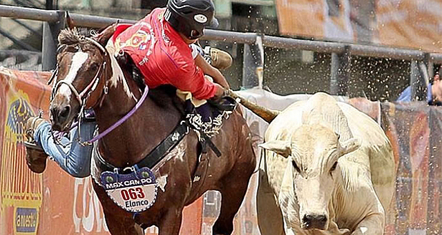 Encuentro Mundial de Coleo