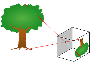 Inicio de la Cámara Estenopeica