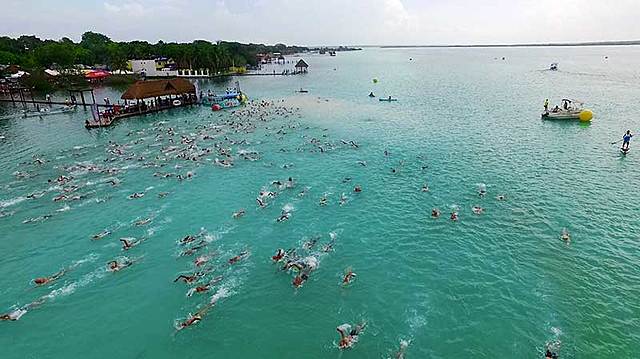 Competencia de natación