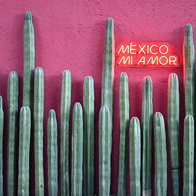 Timeline: Los presidentes contemporáneos