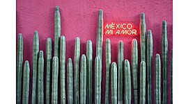 Timeline: Los presidentes contemporáneos