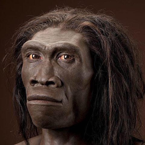 Ser humano moderno (Hace 200000 años)