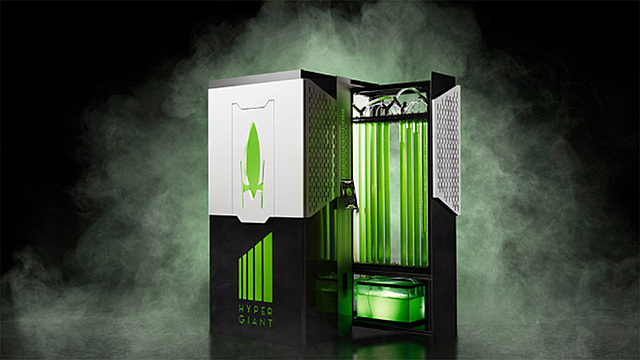 Algas y biocombustibles