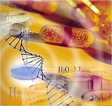 Enfoque de la UNAM (1970)