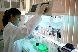 Químico Farmacéutico Biólogo (2004)