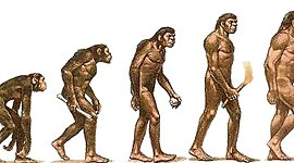 Timeline: Australopitecus