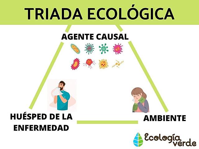 El enfoque ecológico