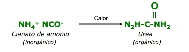 Friedrich Wohler realizó la primera síntesis orgánica.