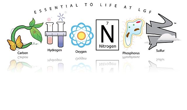 Compuestos responsables de la vida.