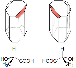 ESTEREOQUIMICA NACIMIENTO DE UN NUEVO CAMPO
