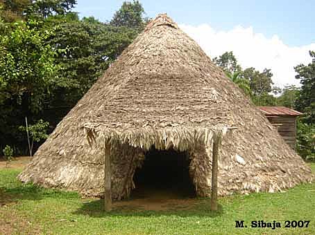 Organización y Actividades de la Sociedad Tribal