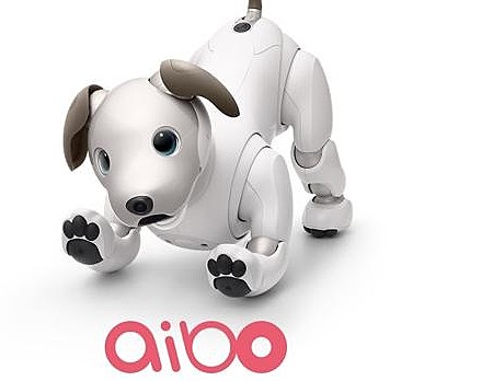 AIBO