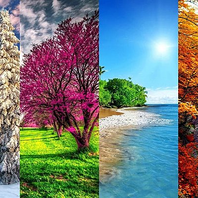 Timeline: Le quattro stagioni