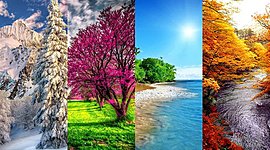 Timeline: Le quattro stagioni