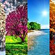 Thumb2 4 seasons 4k winter spring summer