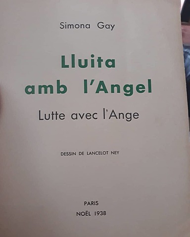 Lluita amb angels