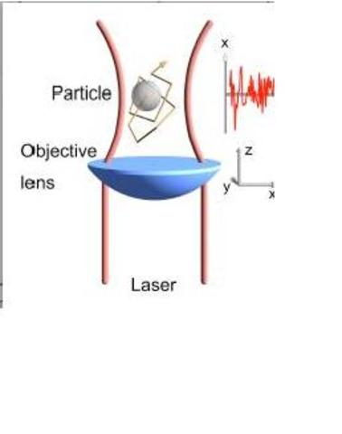 segundo experimento.