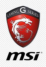 MSI