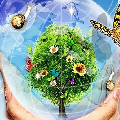 Timeline: Экологический календарь 2020г.