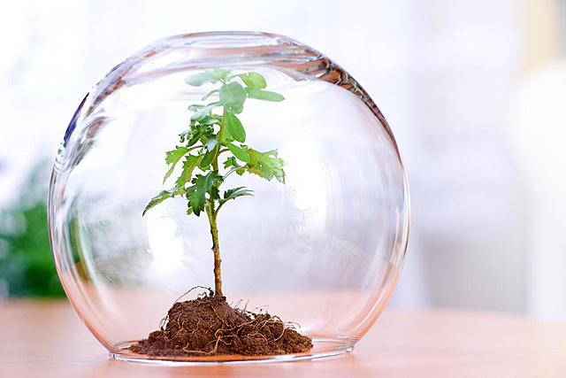 5 июня - Всемирный день окружающей среды