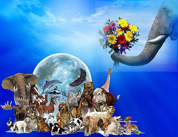 Международный день защиты животных