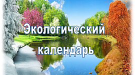 Timeline: Экологический календарь