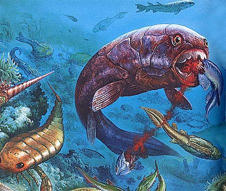 Appearance of vertebrates