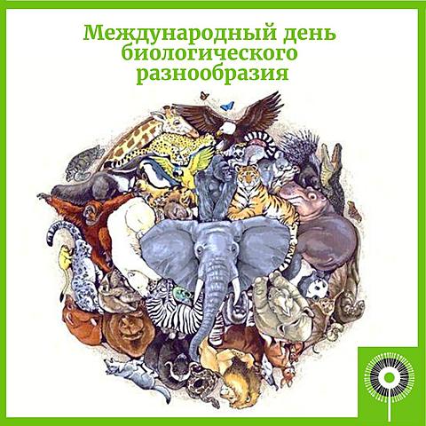 29 декабря - Международный день биологического разнообразия