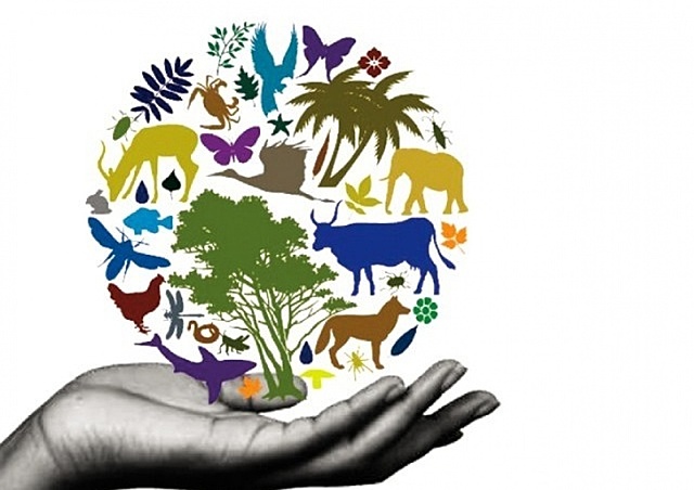 29 декабря Международный день биологического разнообразия
