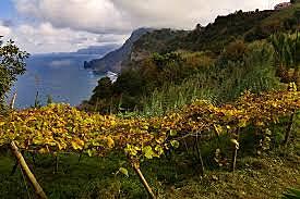 Portugals discovery of Madeira islands